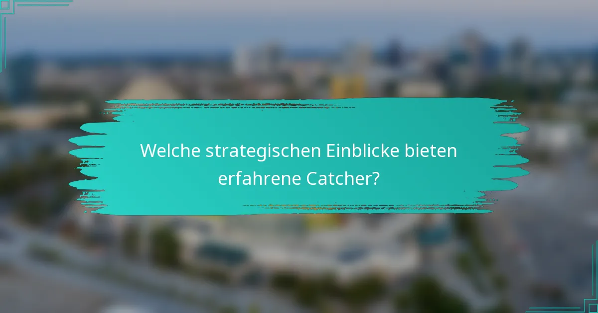 Welche strategischen Einblicke bieten erfahrene Catcher?